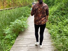 -合肥滨湖国家森林公园