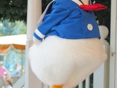 -肯德基(华徐店)