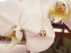 -Tiffany & Co.蒂芙尼
(天津万象城店)