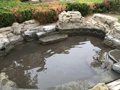-青岛香根温泉酒店