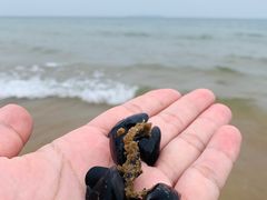 -青岛金沙滩