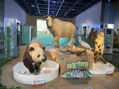 -陕西自然博物馆