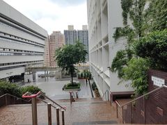 -香港大学