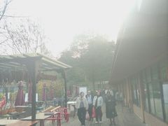 -洪湖家庭农场·团建·露营·会议