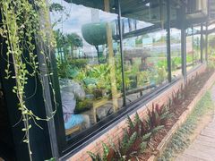 -Ohkajhu Organic Farm Sansai