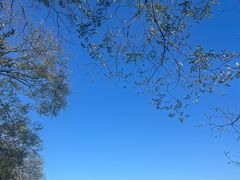 -春晖园度假酒店温泉