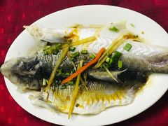 -蛇口康乐快餐鱼仔档(翠苑小区店)