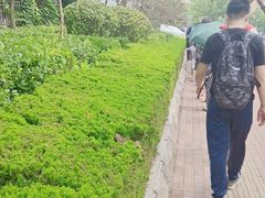 -李沧区图书馆(金液泉路馆)