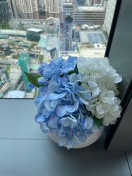 -丽美妍医疗美容·皮秒·立体分层抗衰