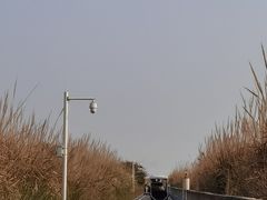-芒洲湿地公园