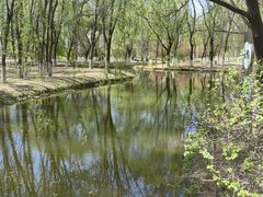 -长白岛森林公园