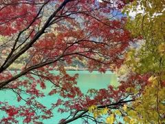 -叠溪松坪沟景区