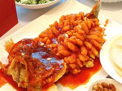 -洋洋中餐馆·SINCE 1997(信投店)