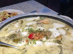 -蝴蝶汇音乐酒馆(罗湖店)