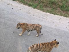 -大连森林动物园