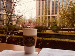 -星巴克(北京惠新东街店)