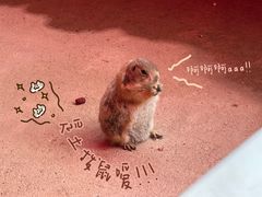 -杭州野生动物世界