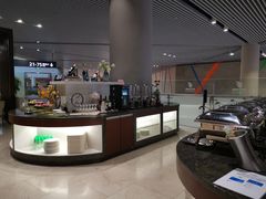 -虹桥机场国航贵宾室v8