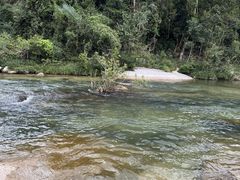 -海南热带雨林国家公园吊罗山景区