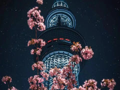 -六本木新城展望台(东京城市景观)