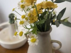 -AHAVA·Fang Baking Studio