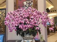 -沙龙酒家