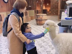 -MR.ZOO小小动物元室内动物园(沈阳沈河盛京中心)