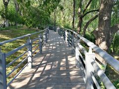 -大兴滨河森林公园