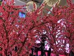 -永旺梦乐城国际商城(北清路店)