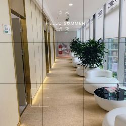 -贞禾医美·连锁