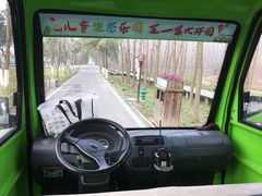 -合肥滨湖国家森林公园