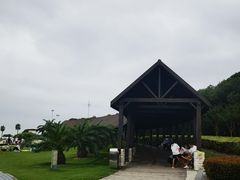 -碧海金沙