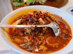 -北平盛世·新京菜·北京烤鸭(劲松·双井店)