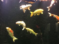 -弘安丽水温泉酒店
