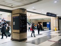 -上海中医药大学附属曙光医院(东部)