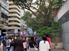 -九龙公园
