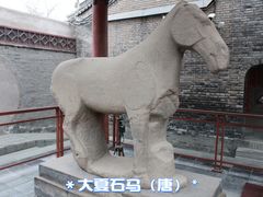 -西安碑林博物馆