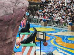 -海合安成都极地海洋公园