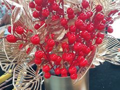 -上海星瀚奔驰4S店(红柳路店)