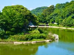 -广州市帽峰山景区