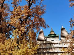 -北京石刻艺术博物馆(五塔寺)
