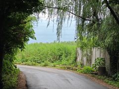 -林间山庄