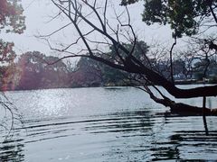 -西湖游船