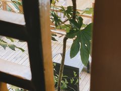 -长谷洞天
