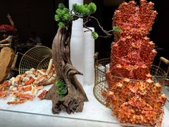 -曲水兰亭(北京四惠店)