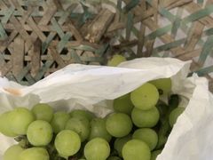 -马陆小张葡萄园农家乐