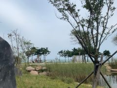 -青岛海泉湾度假区温泉