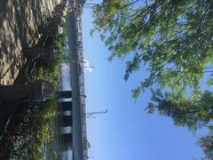 高雄爱河-高雄爱河