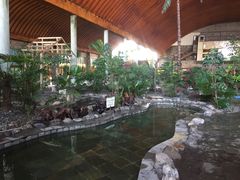 -河北霸州茗汤日月潭温泉