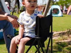 -春花秋色城市公园